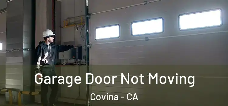  Garage Door Not Moving Covina - CA