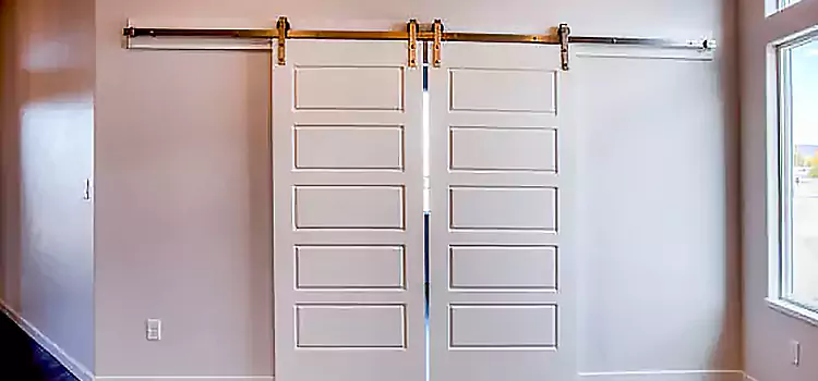 Glass Barn Door with Installation Hardware Kit Covina