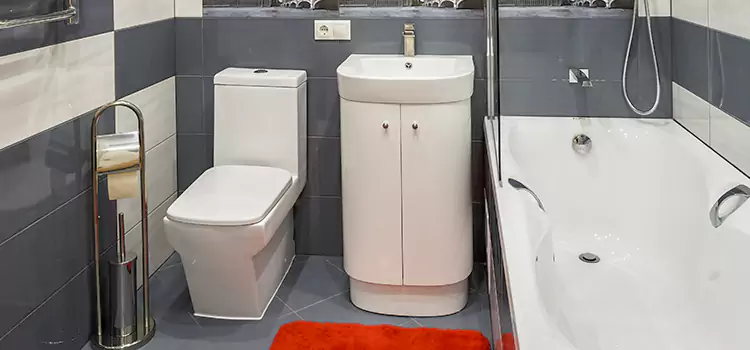 Hansgrohe Shaving Mirror Covina